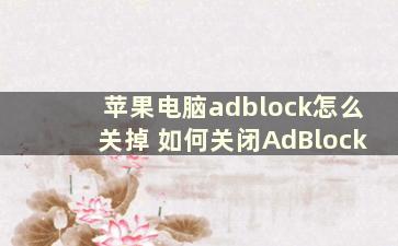 苹果电脑adblock怎么关掉 如何关闭AdBlock